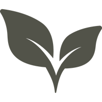 AYURVEDIC TRADITION